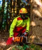KOX Forstjacke Mistral 3.0 Rot/Gelb Größe L | KWF-Standard Produktbild-Vorschau 2