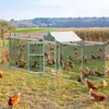 JOIEYOU Enclos pour poules 4x1m Poulailler en métal avec Voir les images du produit 4