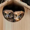 Relaxdays Eulen Nistkasten, Bausatz, Holz, Einflugloch H x Produktbild-Vorschau 3