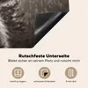 KitchenYeah© Herdabdeckplatte Schottischer Highlander - Produktbild-Vorschau 5