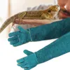 Płócienne, niebieskie rękawice ochronne dla gadów, Podgląd zdjęcia produktu 4