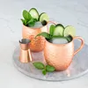 Navaris Moscow Mule Set 5 teilig - 4x Kupferbecher und 1x Produktbild-Vorschau 2