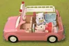 Sylvanian Families 5705, Arzt, 3 Jahr(e), Mehrfarbig Produktbild-Vorschau 23