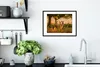 MuchoWow® MuchoWow® Gerahmtes Poster Waldtiere - Hirsche - Produktbild-Vorschau 4