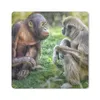 MuchoWow® Mauspad Mousepad Affen - Tiere - Familie 20x20 cm Produktbild-Vorschau 1