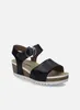 JOSEF SEIBEL Quinn 16 | Sandale für Damen | Schwarz Produktbild-Vorschau 7
