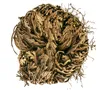 YAKEBA Rose von Jericho 5er-Sparset XS – Selaginella Produktbild-Vorschau 4