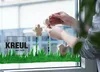 KREUL Fensterkleber "MUCKI" 250 ml Flasche Produktbild-Vorschau 3