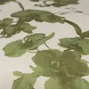 SCHÖNER WOHNEN Zierkissenhülle Orchid grün 45x45cm Produktbild-Vorschau 6