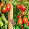 Holzpflöcke Hartholzpfähle 40cm - 25mmx25mm (25 Stk.) Produktbild-Vorschau 5