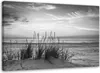 Leinwandbild gräser am strand - schwarz-weiß 90x60 cm Feeby Produktbild-Vorschau 1