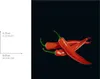 WENKO Panneau arrière en verre, modèle Hot Peperoni : Voir les images du produit 5