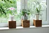 Three wooden cube stands holding potted plants on a windowsill. Anteprima dell’immagine prodotto