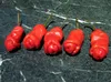 SAFLAX - Chili - Peter Peppers Penis Chili - 10 Samen - Produktbild-Vorschau 4