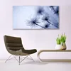 Glasbilder 140x70 Wandbild Druck auf Glas Pusteblume Produktbild-Vorschau 3