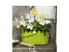 EMSA LANDHAUS KÖRBCHEN Blumenkübel 28x18 cm, weiß, 513924 Produktbild-Vorschau 2