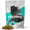 GELOREN Paarden - Gewrichtssupplement voor paarden - 450g Productafbeelding-voorbeeld 12