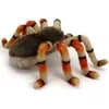 Plüsch Vogelspinne 21cm Spinne Realistisch Premium Deko Produktbild-Vorschau 5