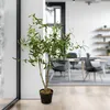 Künstlicher Olivenbaum ca. 105 cm im Blumentopf Produktbild-Vorschau 5