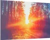 A sunbeam shines through a forest, illuminating a path. Náhľad obrázku produktu