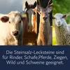 Salit Natur Steinsalz-Leckstein - 4x5kg (20kg): Rinder, Produktbild-Vorschau 3