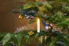 25-er Set LED Weihnachtsbaumkerzen ✔ kabellos ✔ Timer ✔ Produktbild-Vorschau 4