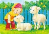 A girl petting lambs in a grassy area with a blue fence and butterflies in the background. Anteprima dell’immagine prodotto