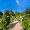 KADAX oblúk pre ruže, oceľový záhradný oblúk, pergola pre Náhľad obrázku produktu 3