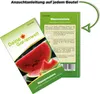Wassermelonen Sugar Baby Samen - Citrullus lanatus - Produktbild-Vorschau 6
