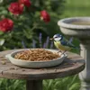 Mehlwürmer getrocknet als Wildvogelfutter Produktbild-Vorschau