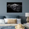 MuchoWow® Poster Elefant - Tiere - Schwarz - Natur 60x40 cm Produktbild-Vorschau 4
