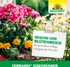 Neudorff Ferramin Eisendünger 250 ml - für Zitruspflanzen, Produktbild-Vorschau 6