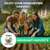 Green Harvest Groentezaden Set 20 soorten, 20 zakjes, zaden Productafbeelding-voorbeeld 3