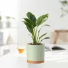 5 Packs Blumentopf mit Untersetzer, Produktbild-Vorschau 3