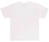 T-shirt Dickies DK621091WHX1 pour Homme Voir les images du produit 2
