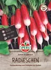 SPERLI Radiessamen French Breakfast 3 Raphanus sativus Produktbild-Vorschau 1