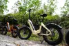 20" * 4,0" 48V skládací elektrokolo s širokými Náhled obrázku produktu 10