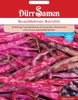 Dürr-Samen - Buschbohnen Borlotto (Beckenbullen) - Saatgut Produktbild-Vorschau 2