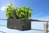 Jardinière Dehner « Mona » pour 3 plantes, avec système Voir les images du produit 4