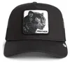 Pet Goorin Bros 101-2450-VOID voor Uni Productafbeelding-voorbeeld 20