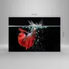 Bilder auf glas - Fisch Wasser Natur - 120x80cm - Produktbild-Vorschau 3