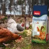 PANTO Legefreude 25kg - Körnermischung für Legehennen Produktbild-Vorschau 3