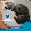 Two pets, a cat and a dog, sleeping on a pet bed. Overlayed text and graphics promote a joint supplement. Náhľad obrázku produktu