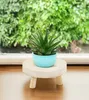 A small succulent plant in a blue pot sits on a wooden plant stand in front of a window with green foliage outside. Voir les images du produit