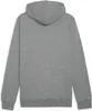 Puma teamGOAL Casuals Felpa con cappuccio - grigio, Anteprima dell’immagine prodotto 2