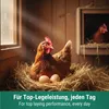 Zona agricola Mangime per galline ovaiole Premium Farina Anteprima dell’immagine prodotto 3