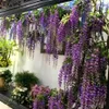 EDIBAZZAR | 12 pezzi Glicine per ghirlanda fiori pendenti Anteprima dell’immagine prodotto 10
