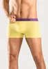 Bruno Banani Boxer Boxershorts für Herren 4 -teilig gelb, Produktbild-Vorschau 5