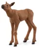 schleich® WILD LIFE 42629 Vache d'élan avec veau Voir les images du produit 12