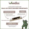 Mister Canapa, Filtri a Carboni Attivi e Cellulosa Anteprima dell’immagine prodotto 5